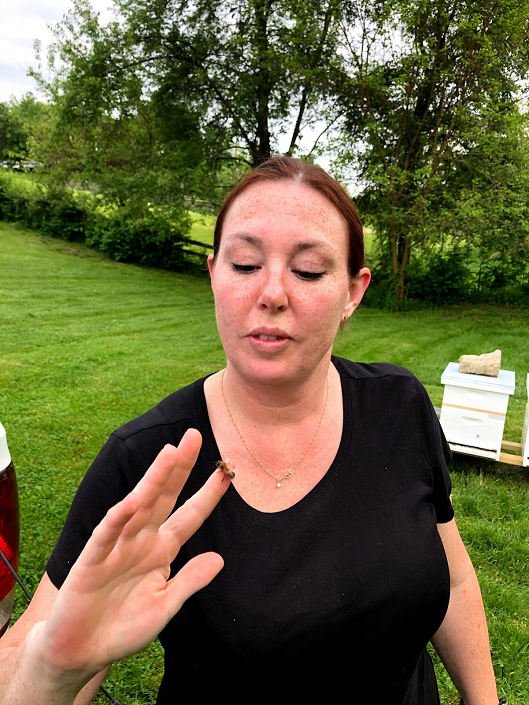Mandi Bee Whisperer